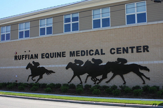Illustration for article titled How Big Brown's People Nearly Pulled Off Horse Racing's Biggest Scam